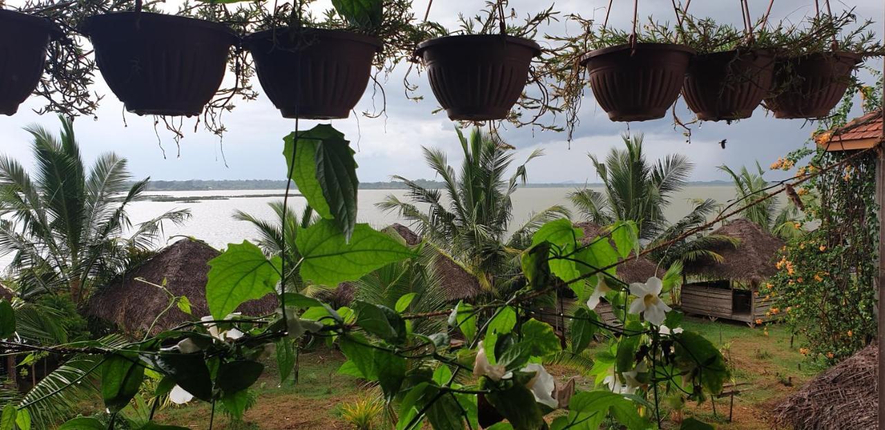 Rise & Set Arugam Bay Hotel Buitenkant foto
